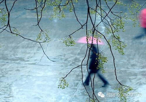 連日秋雨，警惕這些疾病乘虛而入！