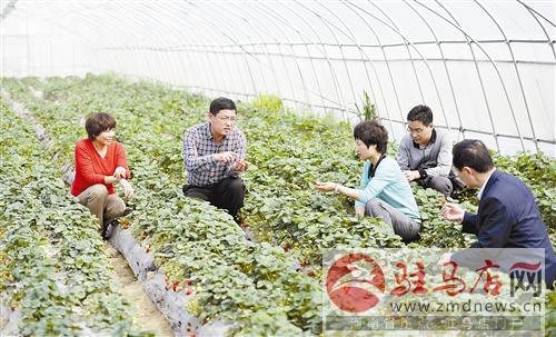 益農豐達：建設高科技現(xiàn)代都市生態(tài)農業(yè)樣板園區(qū)