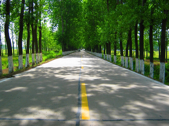 正陽(yáng)公路交通部門為“美麗鄉(xiāng)村”建設(shè)助力