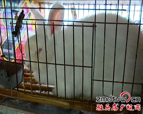 暴風截圖201511269875625.jpg