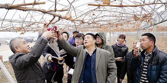 “杰美”冬剪有技巧專家受邀來(lái)支招