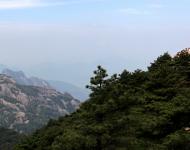 這山只看那山高，風(fēng)景這邊獨(dú)好（攝影/水墨丹青）