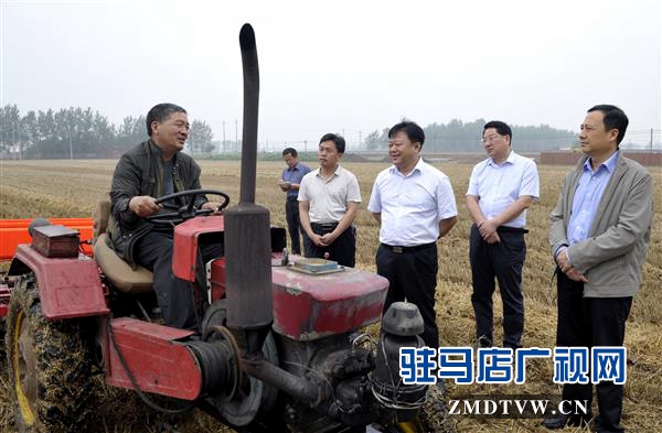 陳星深入遂平西平縣調(diào)研指導(dǎo)“三夏”生產(chǎn)