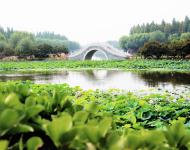 古柳垂堤風(fēng)淡淡，新荷漫沼葉田田。