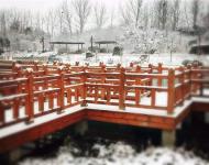 連已經(jīng)結(jié)冰的湖水邊、橋欄上，都留下了這個(gè)冬天最美的一幕！
