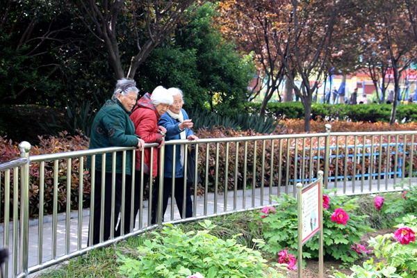 南海公園牡丹盛開  國(guó)色天香一睹為快