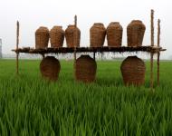 近年來，留莊鎮(zhèn)以發(fā)展現(xiàn)代生態(tài)農(nóng)業(yè)和鄉(xiāng)村旅游為抓手，以留莊鎮(zhèn)觀光稻田公園、富硒生態(tài)大米等農(nóng)產(chǎn)品為突破，致力于打造一個(gè)以生態(tài)旅游為主的觀光農(nóng)業(yè)，探索走出一條傳統(tǒng)平原農(nóng)業(yè)鄉(xiāng)鎮(zhèn)發(fā)展特色農(nóng)業(yè)的新路子。以產(chǎn)業(yè)扶貧、精準(zhǔn)扶貧帶動(dòng)留莊經(jīng)濟(jì)發(fā)展，為老百姓找到一條脫貧致富的新出路。（攝影記者/武帥）