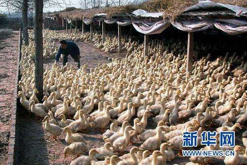 光明早報(bào)：紅十字會(huì)募捐受監(jiān)管；