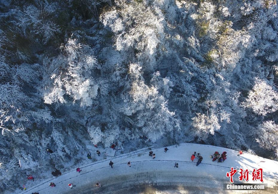 12月20日，重慶金佛山銀裝素裹雪景美如畫，吸引了不少游客前來觀賞。當日，第19屆金佛山冰雪節(jié)正式開幕。 陳超 攝