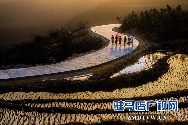 6、《尋夢山妹》優(yōu)秀獎(jiǎng)-劉鳳鳴.jpg