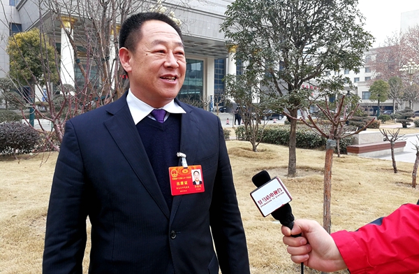 陳潤兒所做政府工作報告引起駐馬店代表團強烈反響