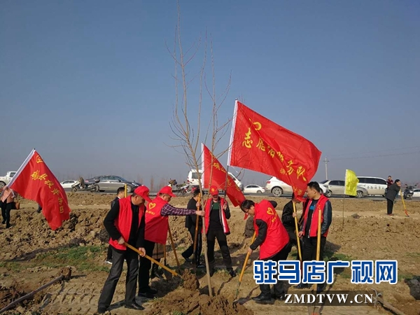1、確山縣衛(wèi)計委在蓮花社區(qū)開展植樹造林活動.jpg