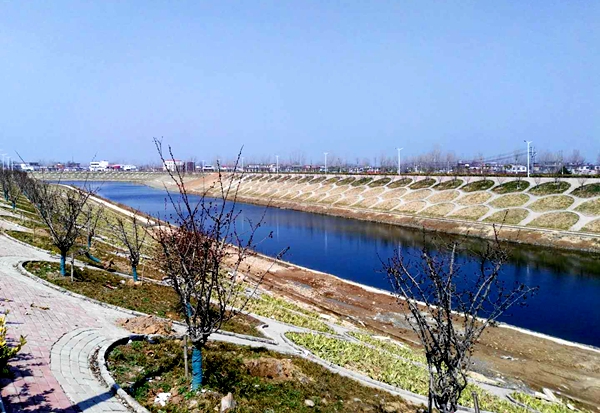 【新時(shí)代 幸福都是奮斗出來(lái)的】西平北關(guān)社區(qū)：從群眾漠視到群眾靠山的蛻變