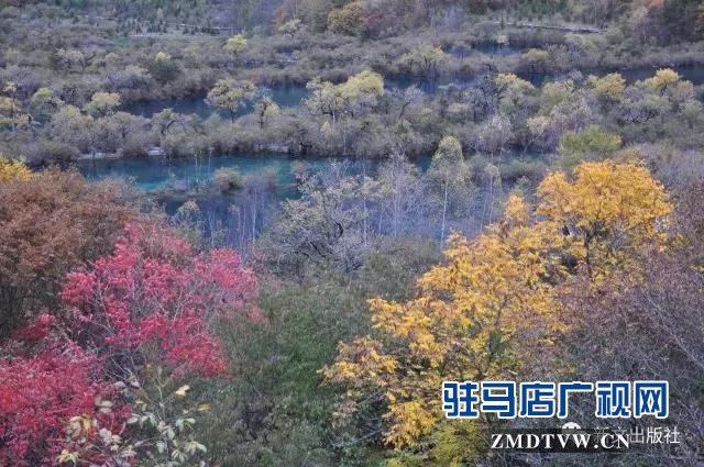秋，落紅------
