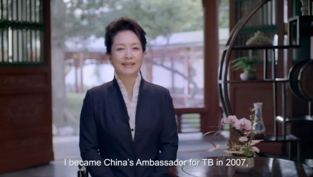 彭麗媛在聯(lián)合國大會(huì)上發(fā)表英文視頻講話，呼吁大家關(guān)注這件事！