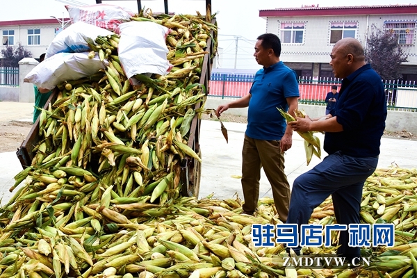 正陽(yáng)：責(zé)任田“基地托管” 貧困戶“坐地收錢”