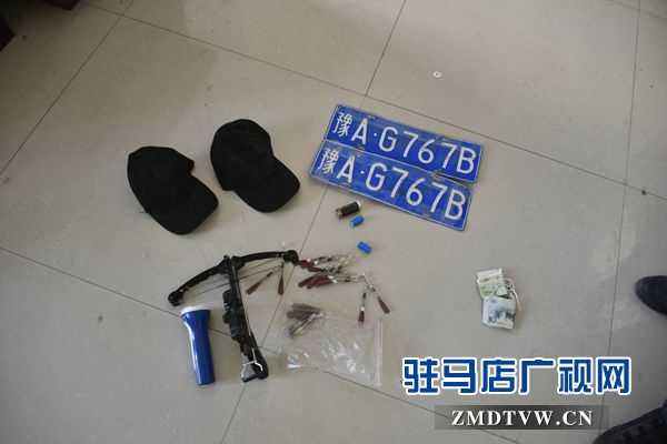狗肉湯鍋店老板夫婦白天賣(mài)狗肉，晚上用弩和毒鏢盜狗