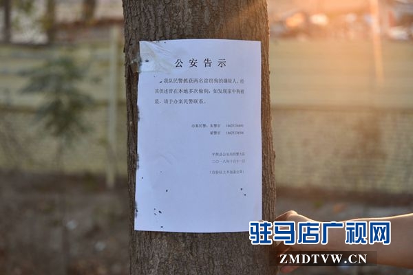 狗肉湯鍋店老板夫婦白天賣(mài)狗肉，晚上用弩和毒鏢盜狗