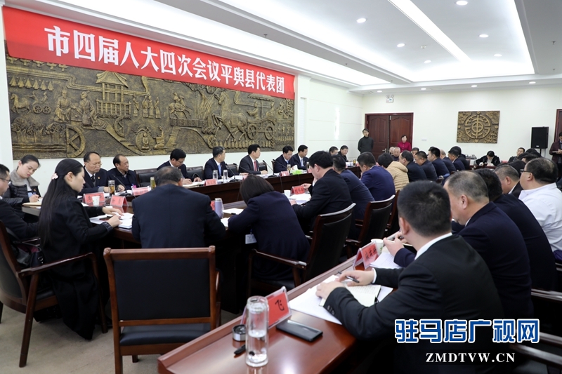 朱是西參加平輿代表團(tuán)的審議政府工作報(bào)告，聆聽代表發(fā)言。