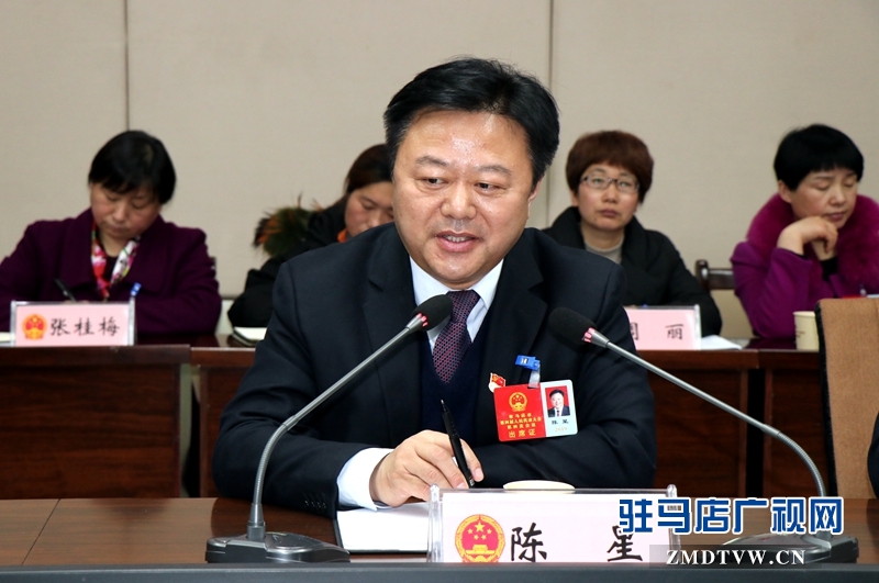 陳星參加上蔡代表團(tuán)的審議政府工作報(bào)告時(shí)發(fā)言。