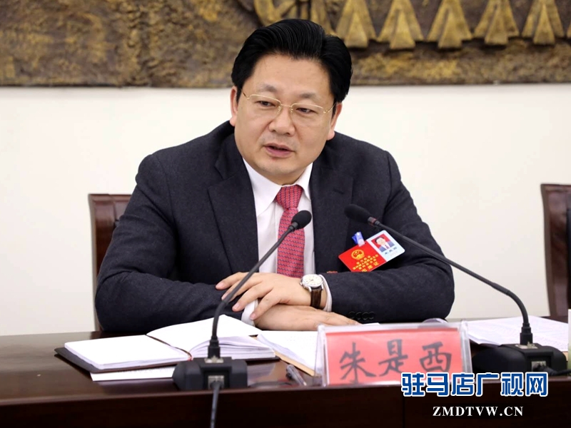 朱是西參加平輿代表團(tuán)的審議政府工作報(bào)告時(shí)發(fā)言。