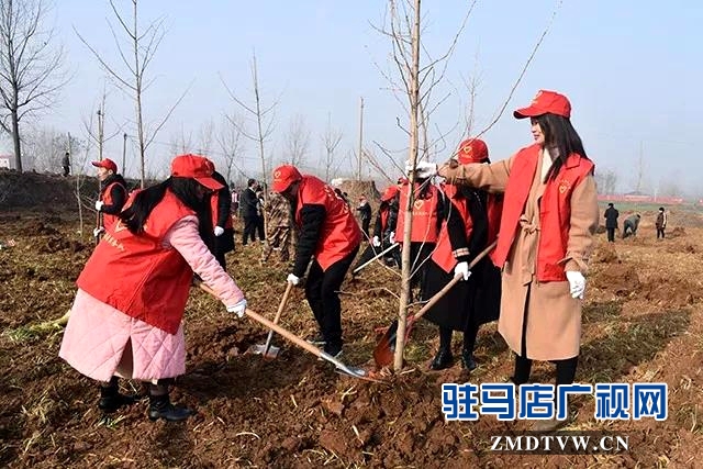 上蔡縣開展春季義務(wù)植樹活動(dòng)