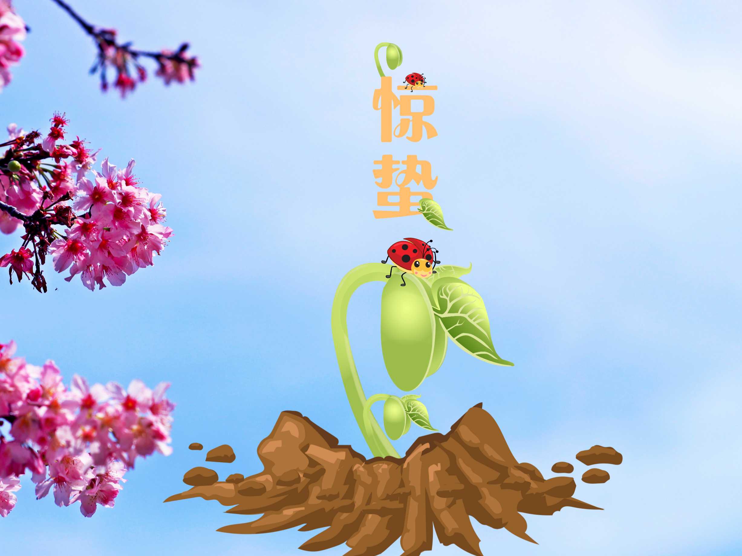 “善變”的驚蟄來了！防蟲“十八般武藝”你Get了嗎？