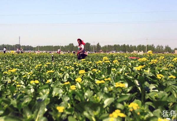 正陽(yáng)、泌陽(yáng)、汝南三個(gè)縣實(shí)現(xiàn)脫貧摘帽