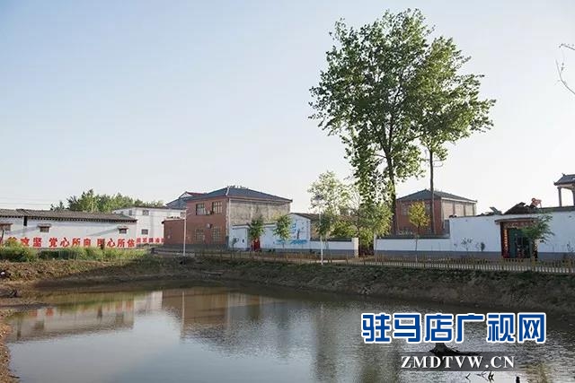 10 康建華：興村富民領(lǐng)頭雁，實(shí)事辦了一串串！.jpg