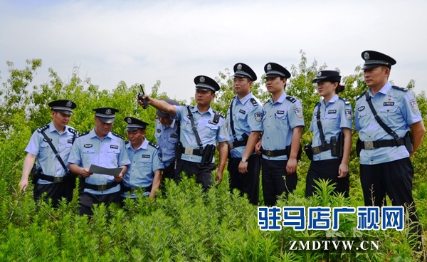 駐馬店市公安局東風分局：鑄造一支讓人民滿意的公安“利劍”