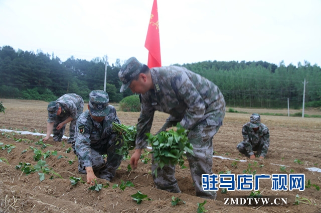 驛城區(qū)人武部：結對幫扶受歡迎