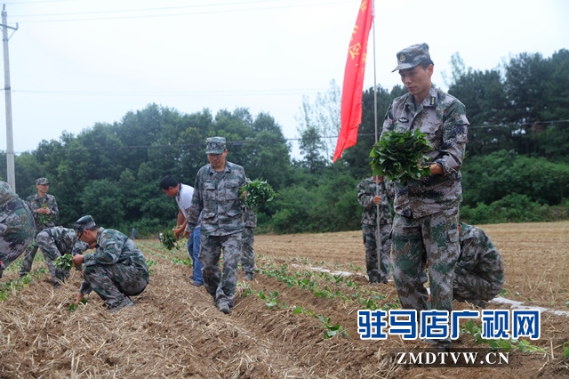 驛城區(qū)人武部：結對幫扶受歡迎