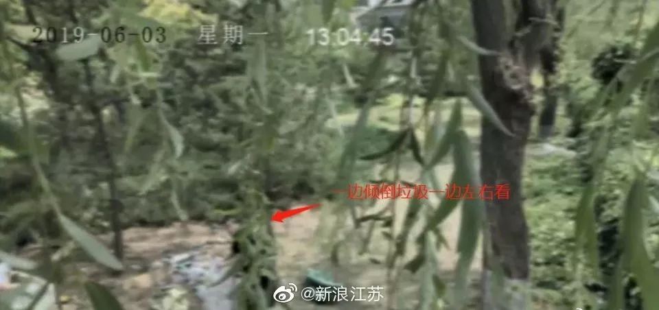 新時代的網(wǎng)紅靠什么才能“躺贏”？ 