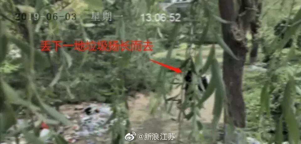 新時代的網(wǎng)紅靠什么才能“躺贏”？ 