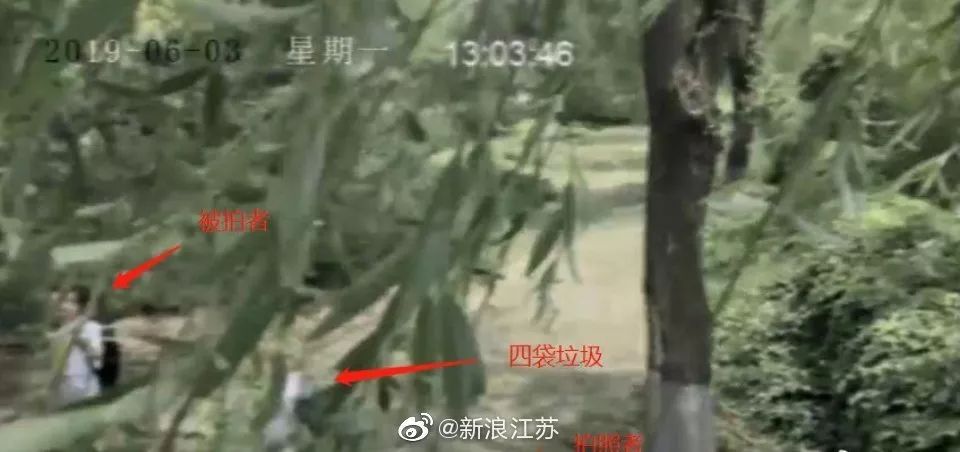 新時代的網(wǎng)紅靠什么才能“躺贏”？ 