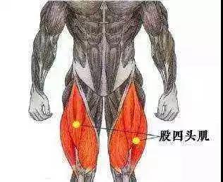 膝關(guān)節(jié)的保養(yǎng)，收藏這篇就夠了 