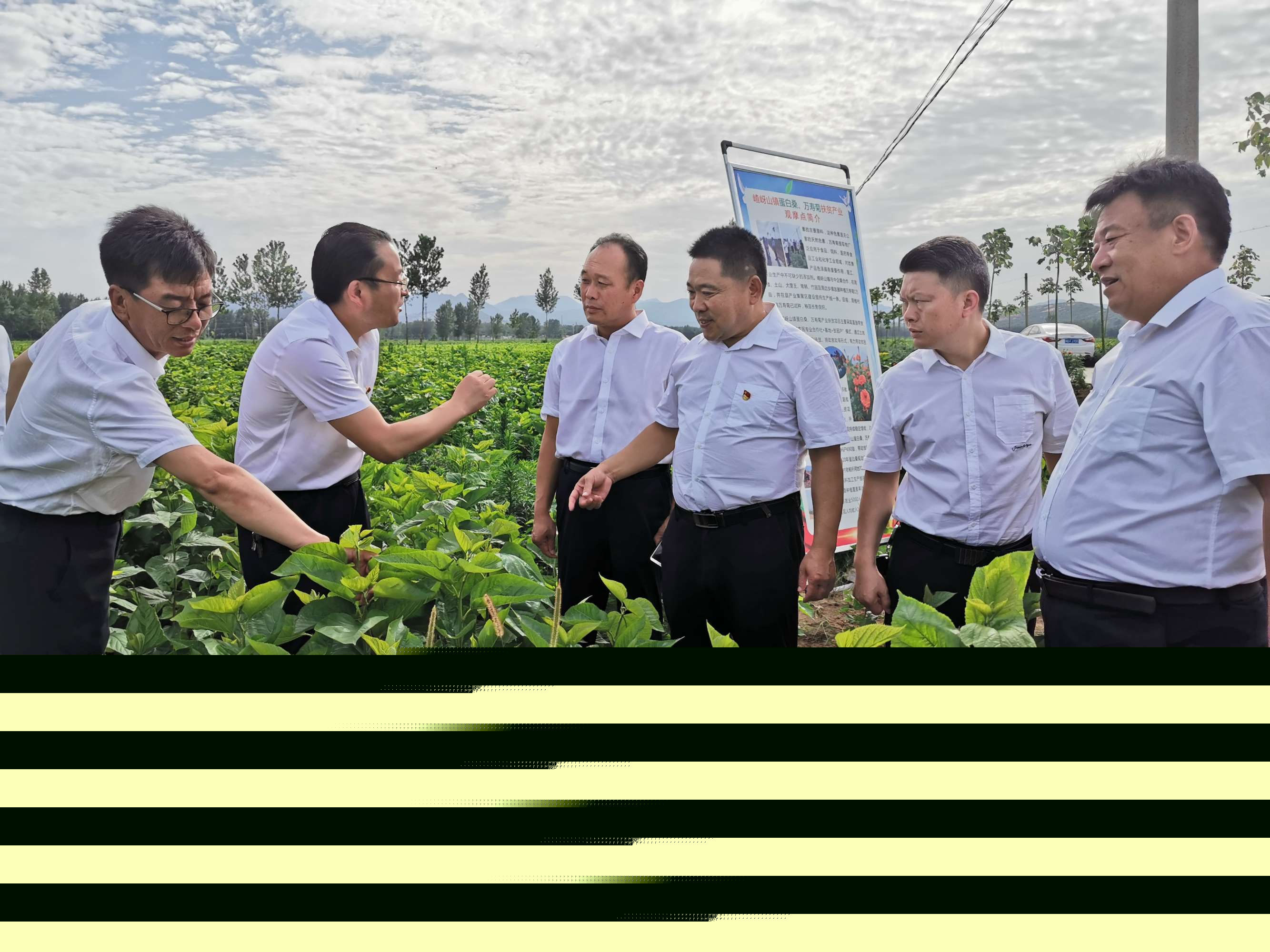 駐馬店市企業(yè)家協(xié)會二屆第四組走進(jìn)遂平嵖岈山鎮(zhèn)蛋白桑葉基地精準(zhǔn)產(chǎn)業(yè)扶貧暨慰問老黨員活動圓滿舉行