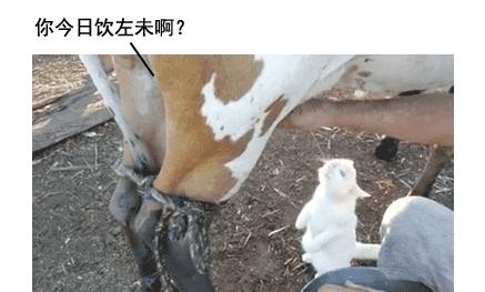  打個噴嚏骨頭就崩了？35歲后這病就盯上你 