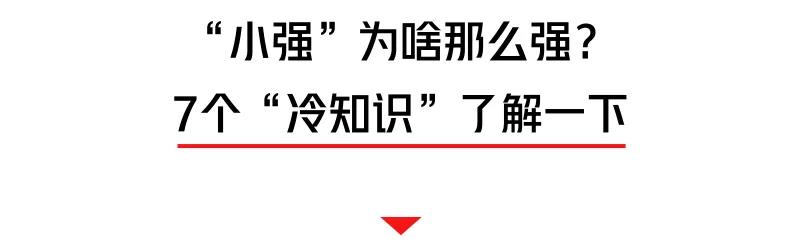 螂有N種死法，真正靠譜的是這2種 