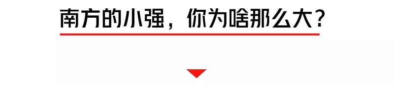 螂有N種死法，真正靠譜的是這2種 