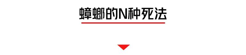螂有N種死法，真正靠譜的是這2種 