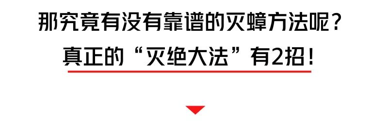螂有N種死法，真正靠譜的是這2種 