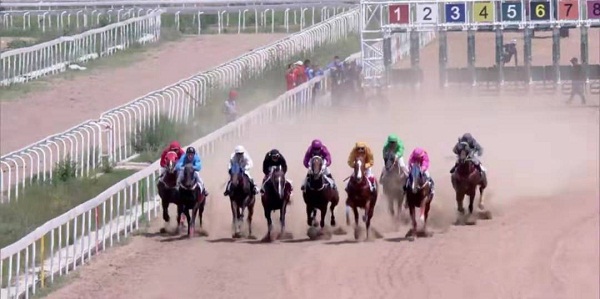 亮馬圈、彩衣、閘廂……記者盤點速度賽馬賽前看點