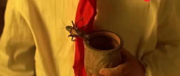 溥儀重游故宮，一只蟈蟈在龍椅下藏了五十年，為什么沒(méi)餓死 
