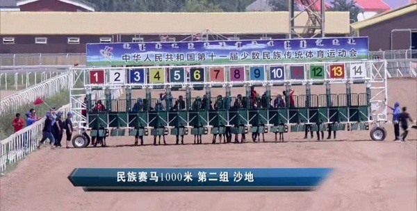 亮馬圈、彩衣、閘廂……記者盤點速度賽馬賽前看點
