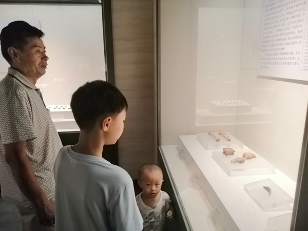 酷熱暑期 市博物館游客盈門(mén)