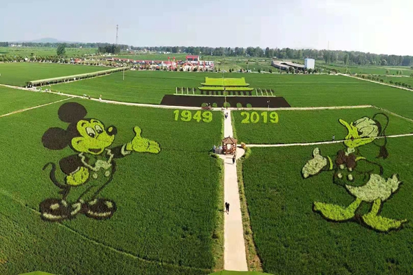 確山縣留莊鎮(zhèn)稻田公園被正式授予國家3A級(jí)景區(qū)