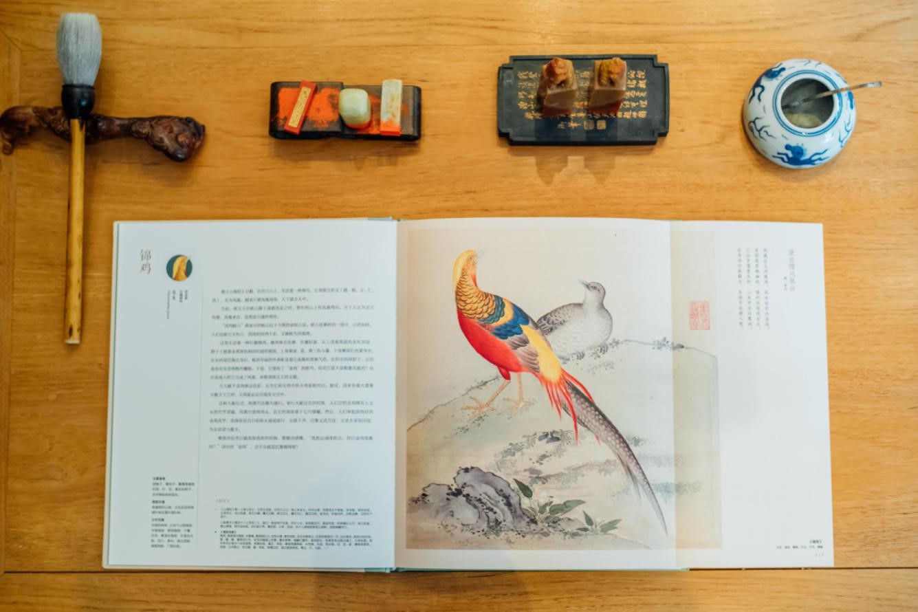 乾隆導(dǎo)演過(guò)一部中國(guó)版“神奇動(dòng)物在哪里”，你看過(guò)沒(méi)？ 