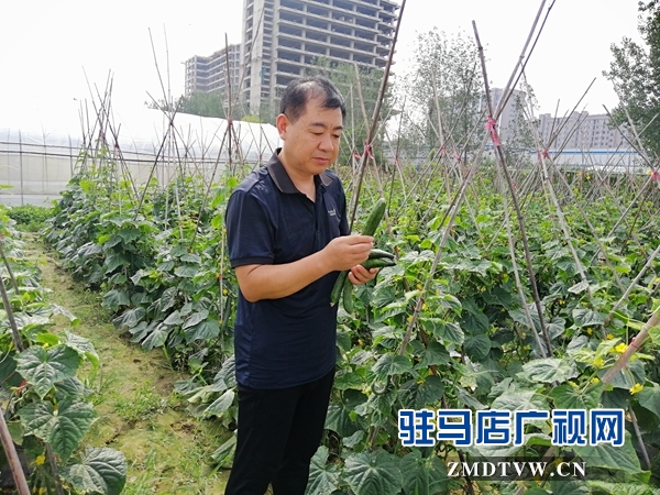 市拔尖人才姜?。号μ岣呖蒲兴?大力助推脫貧工作