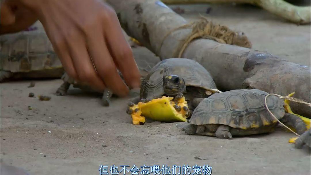刷屏朋友圈的假「圣母」，今天必須拆穿 